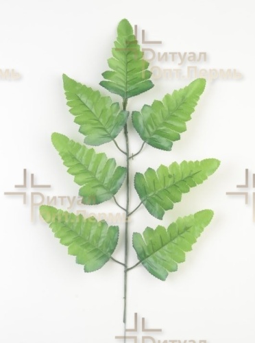 009 Папоротник орляк 7л
